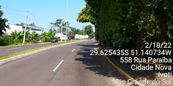 Copa de Canela da ìndia moldada pelo trânsito de caminhões